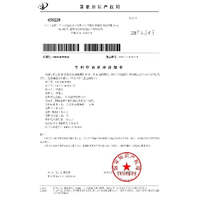 Intellectual Property - 202420692890.6